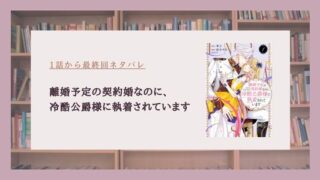 離婚予定の契約婚なのに 冷酷公爵様に執着されています ネタバレ