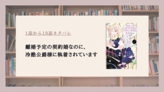 離婚予定の契約婚なのに冷酷公爵様 ネタバレ