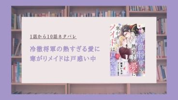 冷徹将軍の熱すぎる ネタバレ