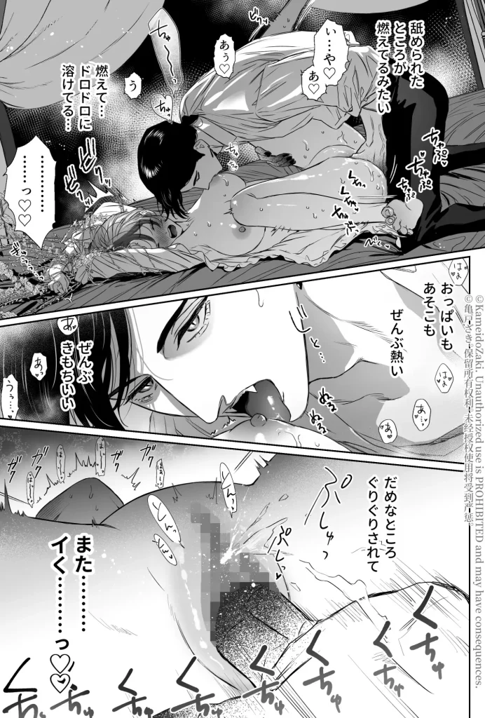 Mellis Maleficarum うそつき悪魔の催淫調教 ネタバレ