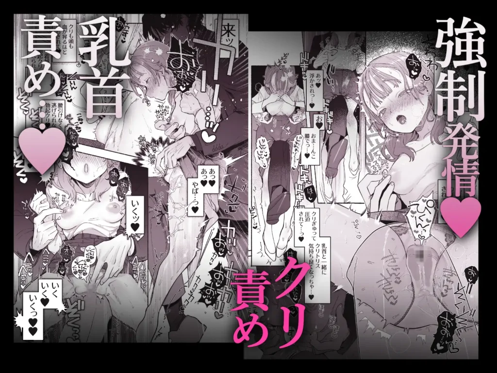 淫魔専用車両 玩具痴幹線 ネタバレ