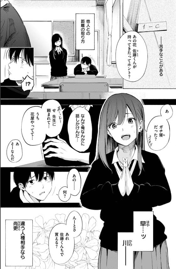 ゼラニウム ネタバレ画像