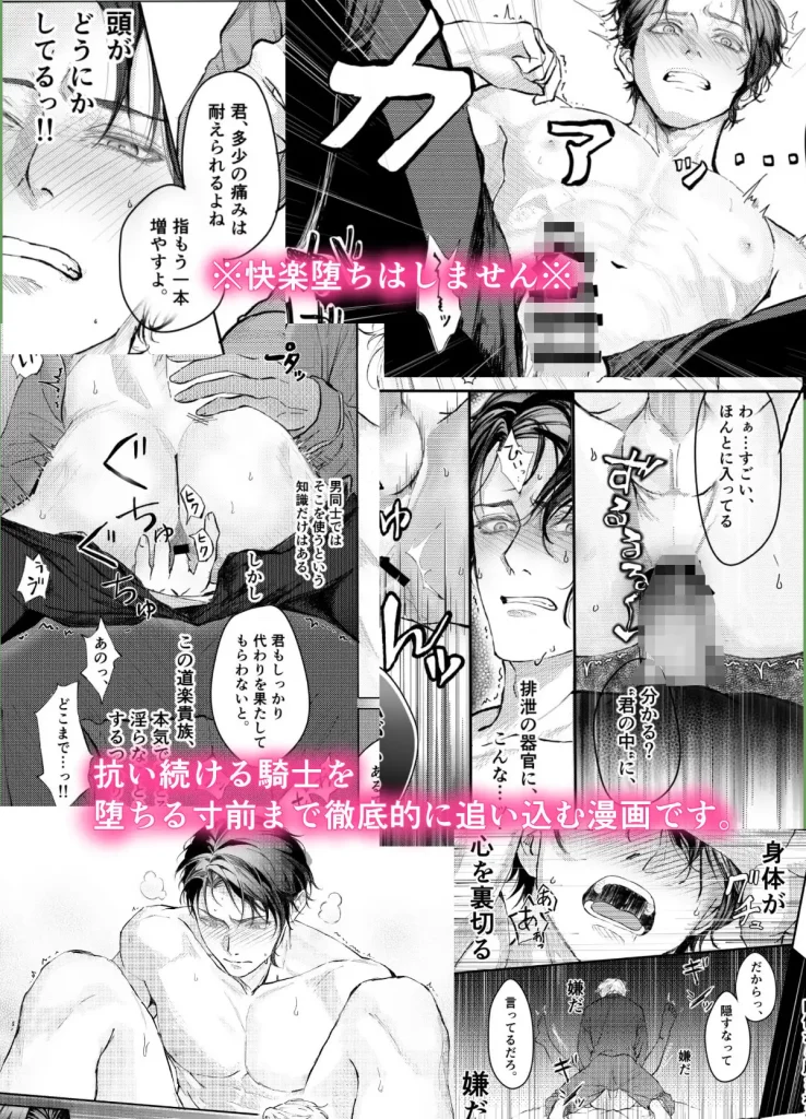 貴方に従い、貴様に抗う ネタバレ