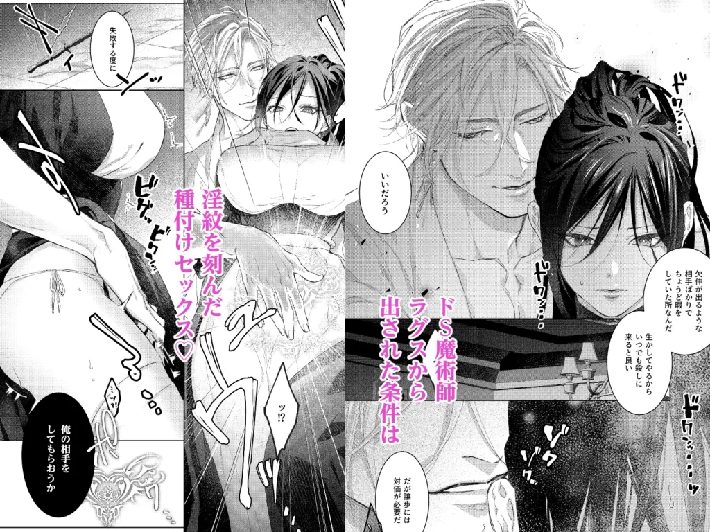 暗殺者は執着魔術師を殺せない ネタバレ