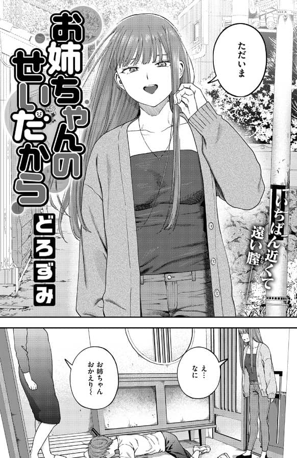 お姉ちゃんのせいだから どろずみ 無料