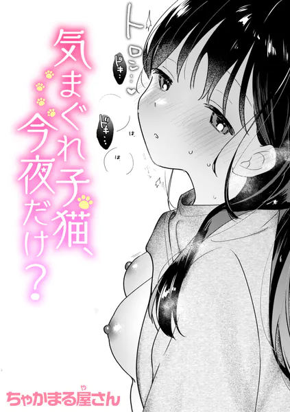 気まぐれ子猫、今夜だけ